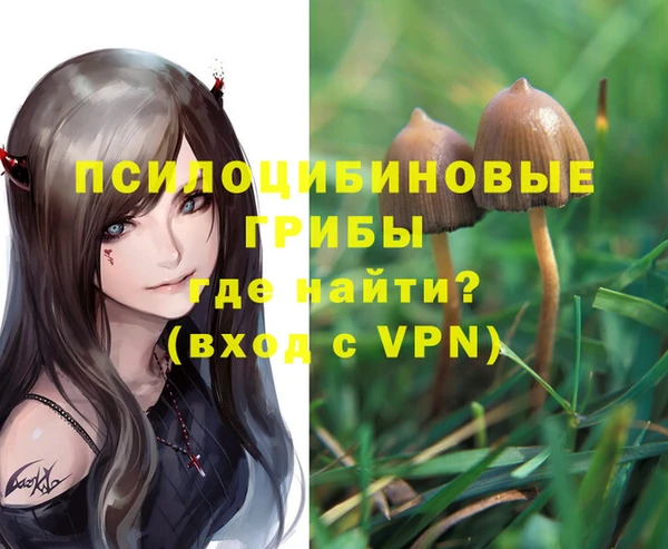 прущая мука Тайга
