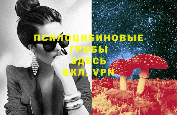 прущая мука Тайга